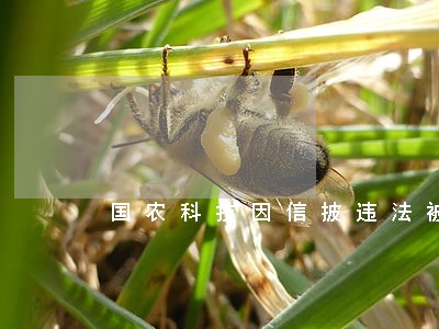 国农科技因信披违法被罚