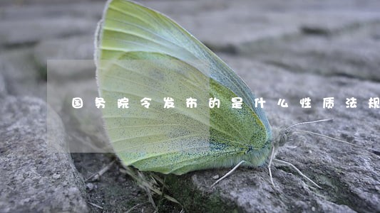 国务院令发布的是什么性质法规 国务院令发布的是什么性质法规