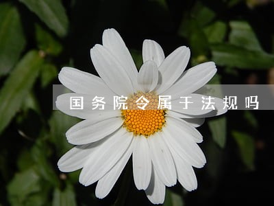 国务院令属于法规吗 国务院令属于法规吗