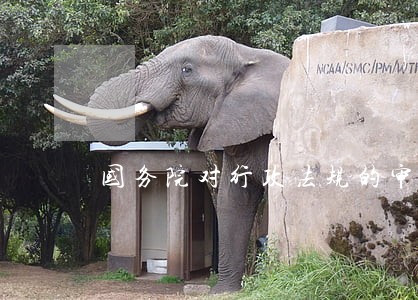 国务院对行政法规的审议