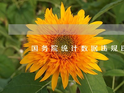 国务院统计数据违规违法 国务院统计数据违规违法
