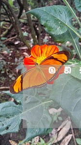 国司法考试网