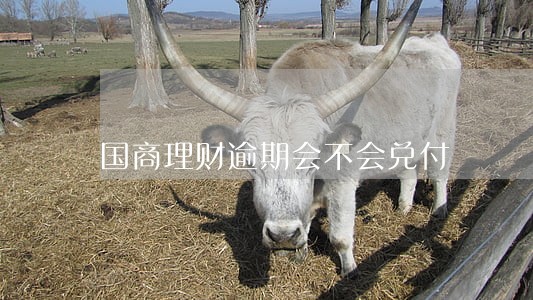 国商理财逾期会不会兑付 国商理财逾期会不会兑付