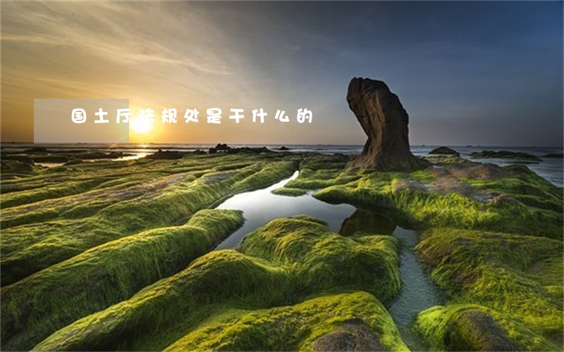 国土厅法规处是干什么的 国土厅法规处是干什么的