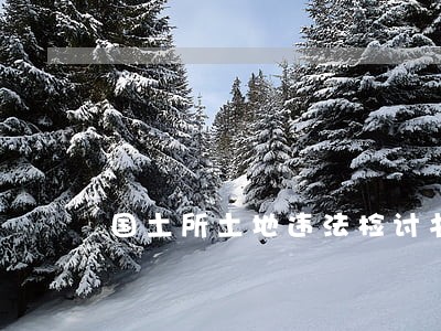 国土所土地违法检讨书 国土所土地违法检讨书