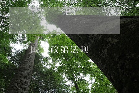 国土政第法规 国土政第法规
