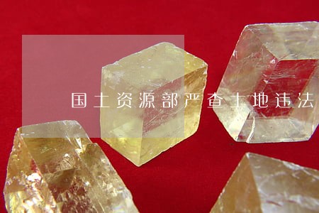 国土资源部严查土地违法案件 国土资源部严查土地违法案件