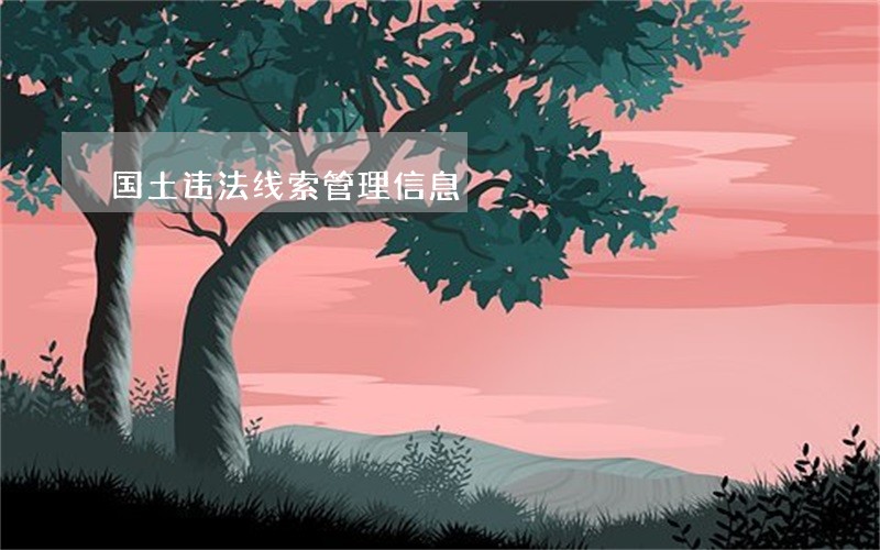 国土违法线索管理信息