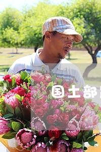 国土部监察部严查违法违规