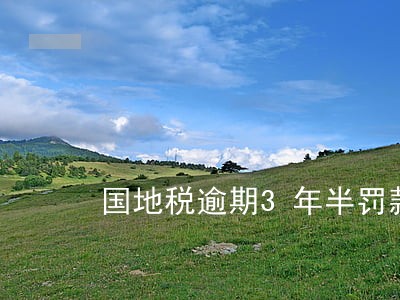 国地税逾期3年半罚款多少钱 国地税逾期3年半罚款多少钱