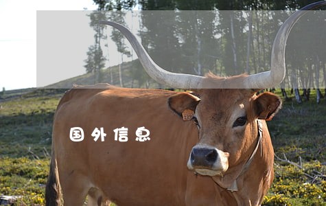 国外信息