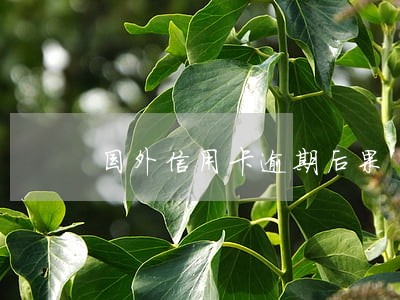 国外信用卡逾期后果 国外信用卡逾期后果