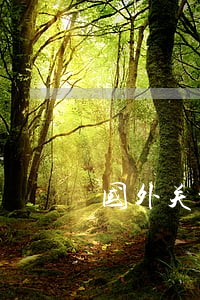 国外关于公民代理诉讼的规定 国外关于公民代理诉讼的规定