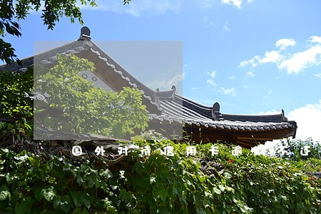 国外对待信用卡逾期不还 国外对待信用卡逾期不还