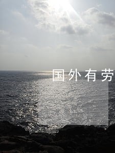 国外有劳动合同法吗 国外有劳动合同法吗
