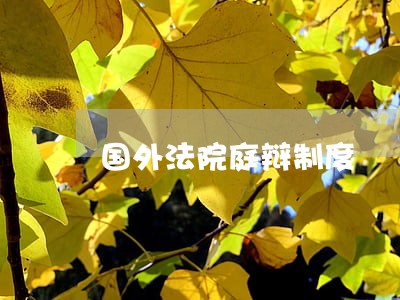 国外法院庭辩制度 国外法院庭辩制度