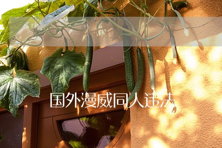 国外漫威同人违法