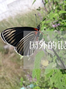 国外的银行卡法院能冻结吗