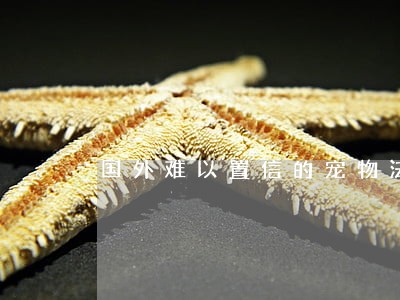 国外难以置信的宠物法规 国外难以置信的宠物法规