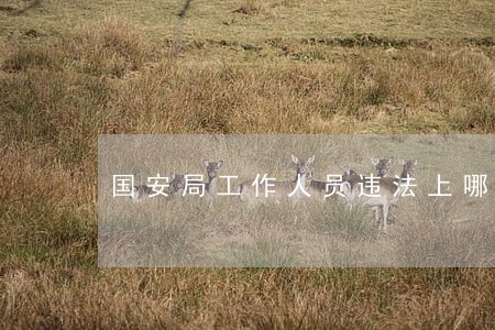 国安局工作人员违法上哪举报