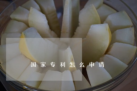 国家专利怎么申请 国家专利怎么申请