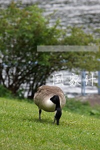 国家什么时候整治信用卡逾期的 国家什么时候整治信用卡逾期的