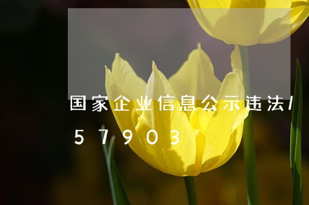 国家企业信息公示违法/2023020457903 国家企业信息公示违法/2023020457903
