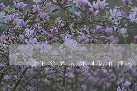 国家公务人员司法在线考试 国家公务人员司法在线考试