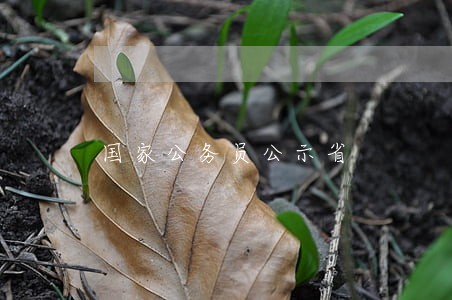 国家公务员公示省 国家公务员公示省
