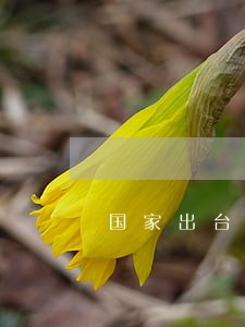 国家出台信用卡逾期不上征信