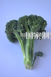 国家制定和颁布公司法 国家制定和颁布公司法