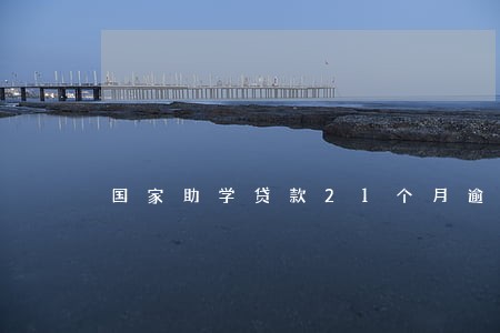 国家助学贷款21个月逾期