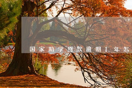 国家助学贷款逾期1年怎么办 国家助学贷款逾期1年怎么办