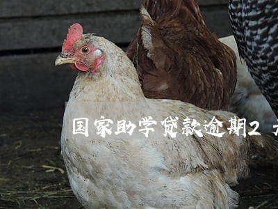 国家助学贷款逾期2天 国家助学贷款逾期2天