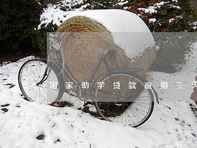 国家助学贷款逾期三天 国家助学贷款逾期三天
