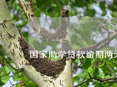 国家助学贷款逾期两天 国家助学贷款逾期两天