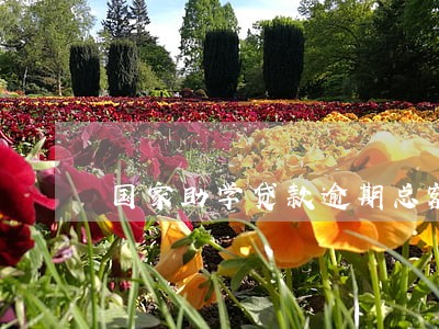国家助学贷款逾期总额 国家助学贷款逾期总额