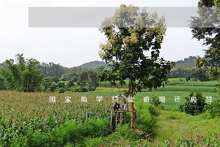 国家助学贷款逾期还房贷 国家助学贷款逾期还房贷