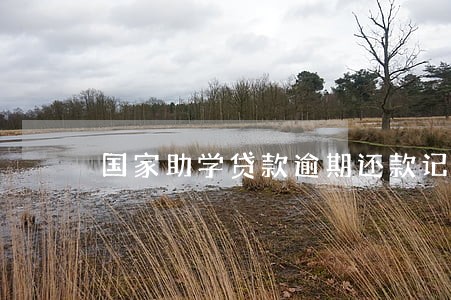 国家助学贷款逾期还款记录 国家助学贷款逾期还款记录