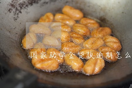 国家助学金贷款逾期怎么还款 国家助学金贷款逾期怎么还款