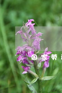 国家劳动法的基本工资是多少钱 国家劳动法的基本工资是多少钱