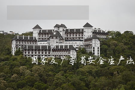 国家及广东省安全生产法律法规 国家及广东省安全生产法律法规