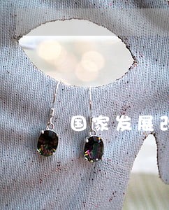 国家发展改革委招标法律顾问