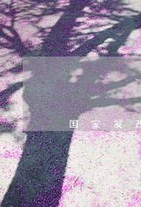 国家发改委法规司赵成峰 国家发改委法规司赵成峰