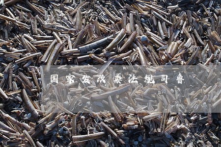 国家发改委法规司鲁 国家发改委法规司鲁