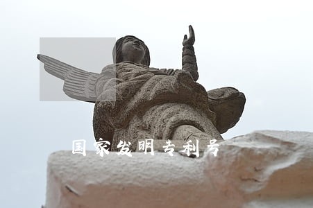 国家发明专利号 国家发明专利号