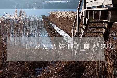 国家发票管理有哪些法规 国家发票管理有哪些法规