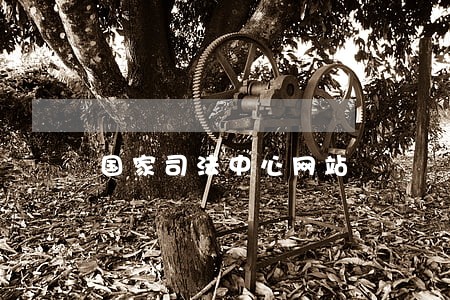 国家司法中心网站