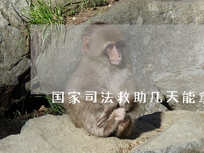 国家司法救助几天能拿到钱