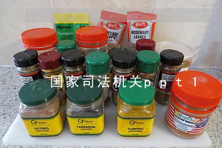 国家司法机关ppt1 国家司法机关ppt1
